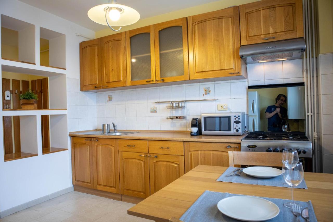 Oak Apartment - Piata Victoriei ブカレスト エクステリア 写真