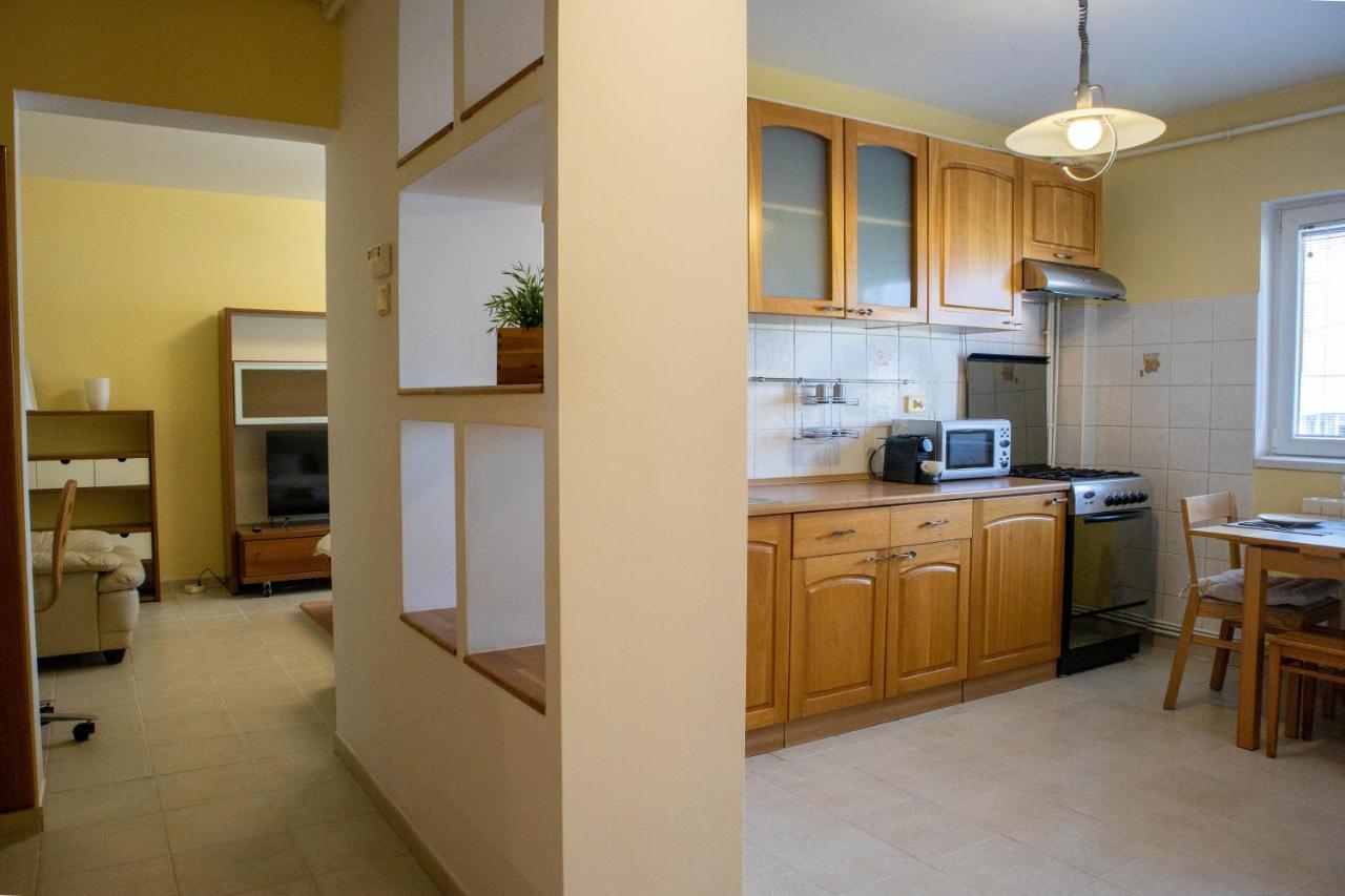 Oak Apartment - Piata Victoriei ブカレスト エクステリア 写真
