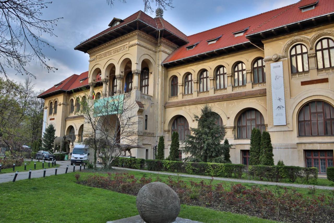 Oak Apartment - Piata Victoriei ブカレスト エクステリア 写真